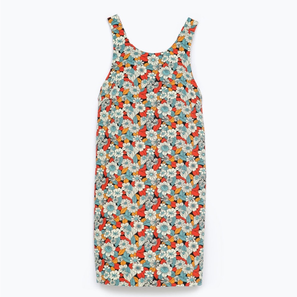Zara dress